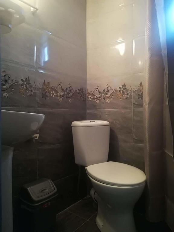 Nikoloz Guesthouse カズベギ エクステリア 写真