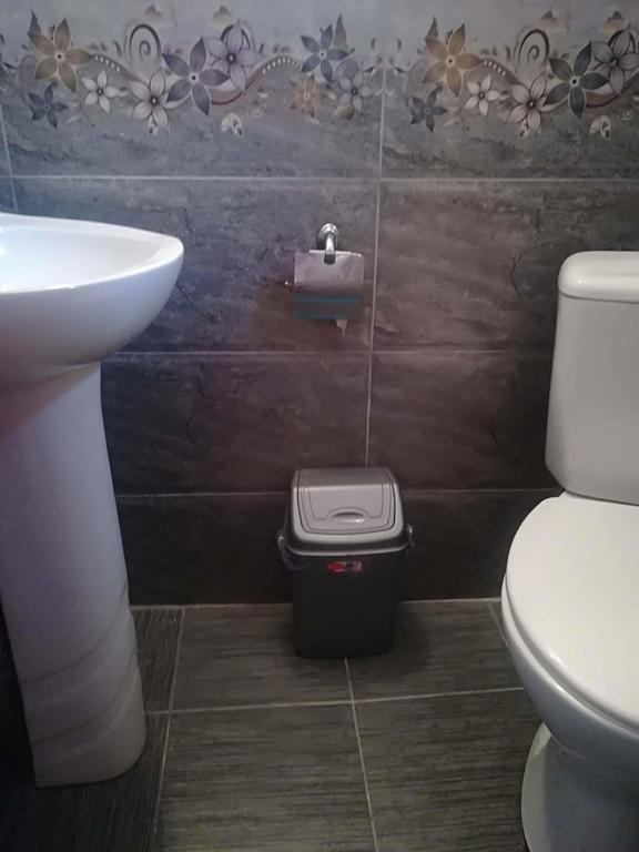 Nikoloz Guesthouse カズベギ エクステリア 写真